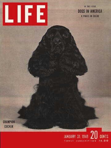 Life magazine