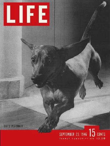 Life magazine