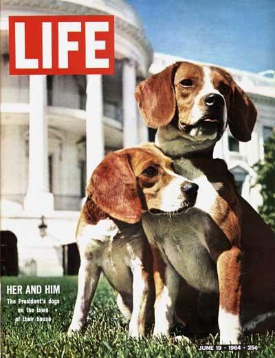 Life magazine