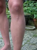 Tortures Bourgeoises