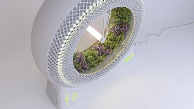 The Green Wheel, un concept de jardinière renversant.
