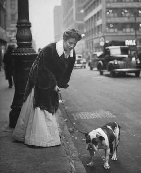 Les chiens de  New York City  par Nina Leen