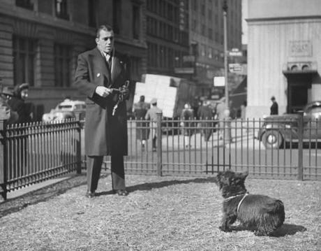 Les chiens de  New York City  par Nina Leen