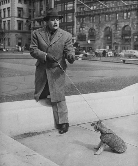 Les chiens de  New York City  par Nina Leen