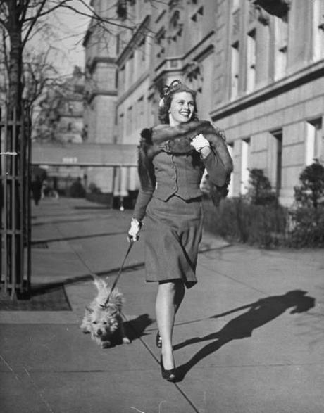 Les chiens de  New York City  par Nina Leen