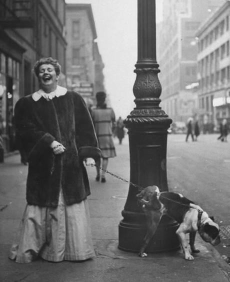 Les chiens de  New York City  par Nina Leen