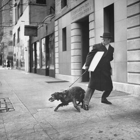 Les chiens de  New York City  par Nina Leen