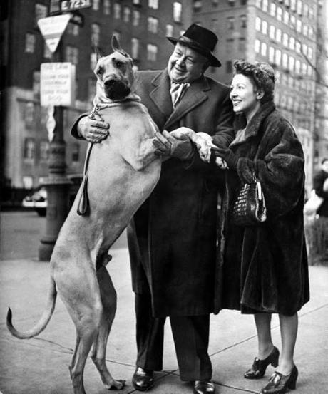 Les chiens de  New York City  par Nina Leen