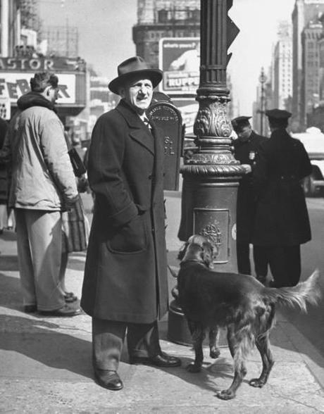 Les chiens de  New York City  par Nina Leen