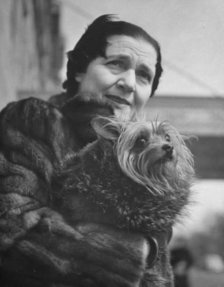 Les chiens de  New York City  par Nina Leen