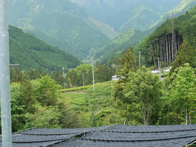 Galerie photos de Tamakawa (Shizuoka 