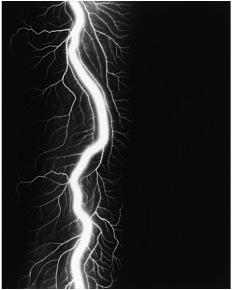 Exposition Mindscapes