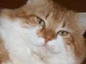 Nouveau blog nouvel espace Facebook