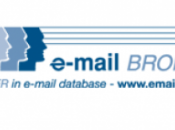 E-mail Brokers publie baromètre entreprises réseaux sociaux
