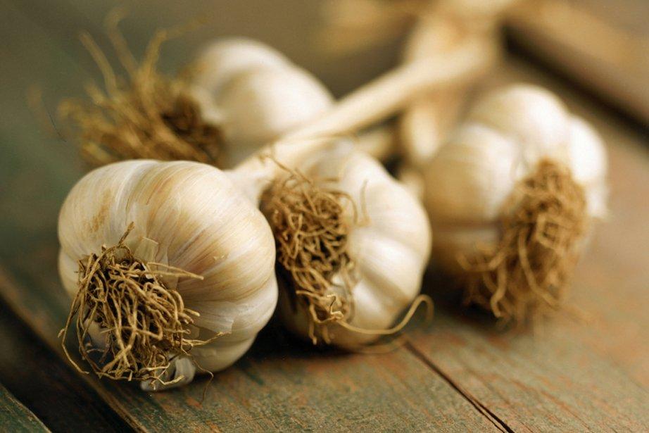 Un vol de 9,5 tonnes d’ail