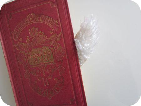 Le chat-pitre Le_chat_pitre_ferm_