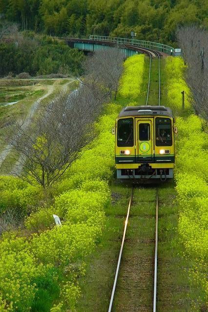 Train chiba japon