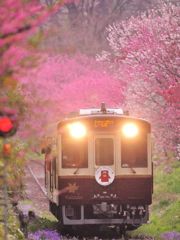 Train tochigi japon