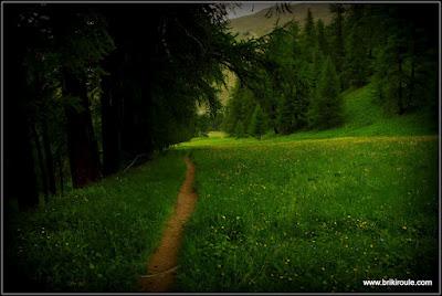 Fromage et dessert...