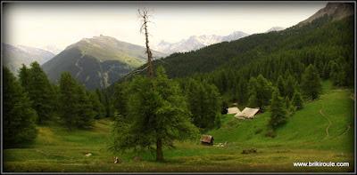 Fromage et dessert...