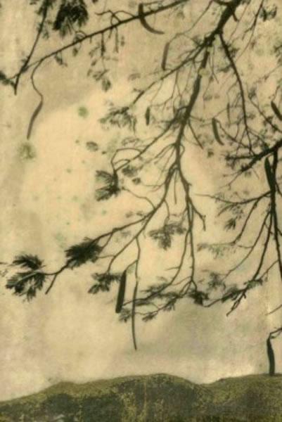 Sabrina Biancuzzi Sabrina Biancuzzi