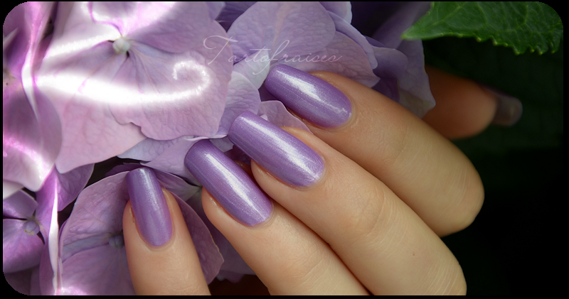 http://images.tartofraises.fr/vernis/LM/cyclone_2.png