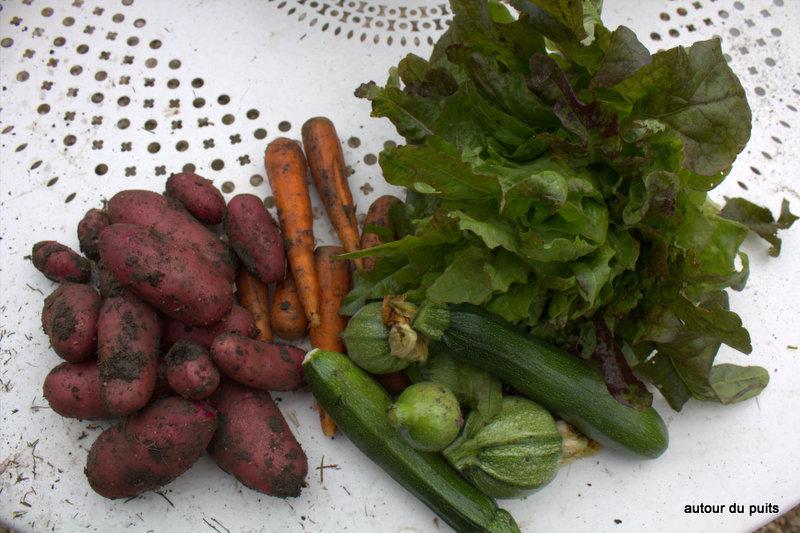 PREMIÈRES RÉCOLTES