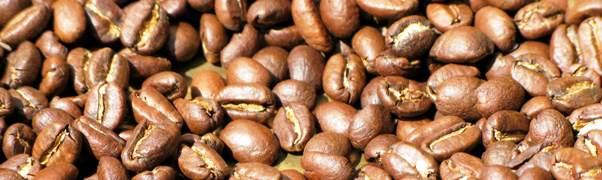 Carotte, oeuf ou café ?