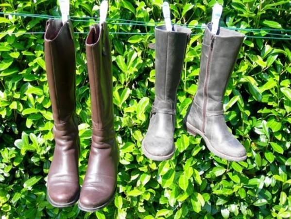 Carotte, oeuf ou café ?