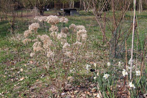 1 annabelle romi 30 mars 2012 001.jpg