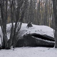 Une baleine bleu échouée sous la neige ...