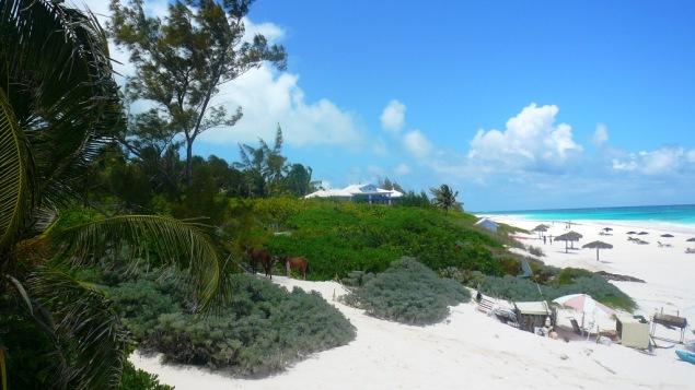 3 jours de rêve (ou presque) aux Bahamas