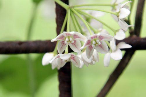 paris 23 juin 2012 249.jpg