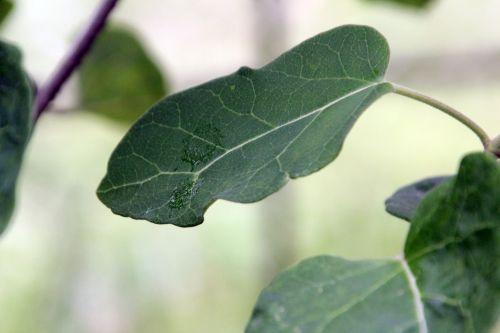 paris 23 juin 2012 252.jpg