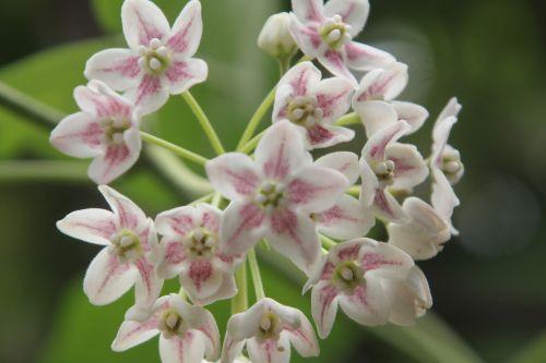 paris 23 juin 2012 246.jpg