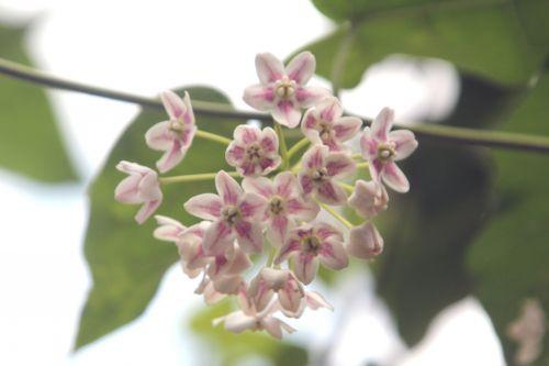 paris 23 juin 2012 242.jpg