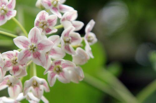 paris 23 juin 2012 247.jpg