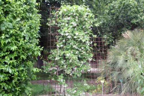 paris 23 juin 2012 241.jpg