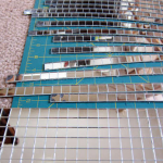 Toi aussi, customise ton casque Boule à Facettes!