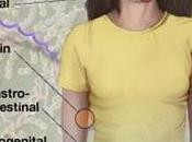 MICROBIOME décrypté avec 10.000 espèces microbiennes NIH-Nature-PLoS