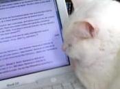 L’illustration, contenu part entière