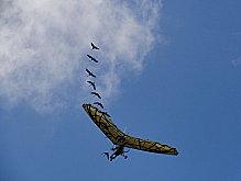 droles-d-oiseaux-dans-le-ciel-de-vendee puy-du-fou