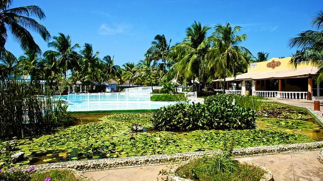 anteketborka.blogspot.com, strange44