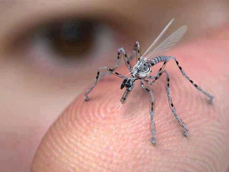 drône d'espion moustique espionnage insecte remanta