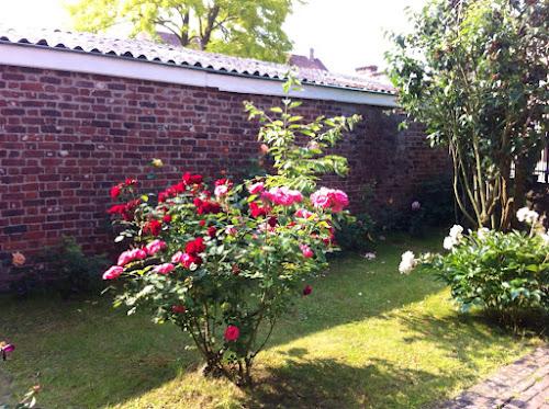 Concours des jardins fleuris