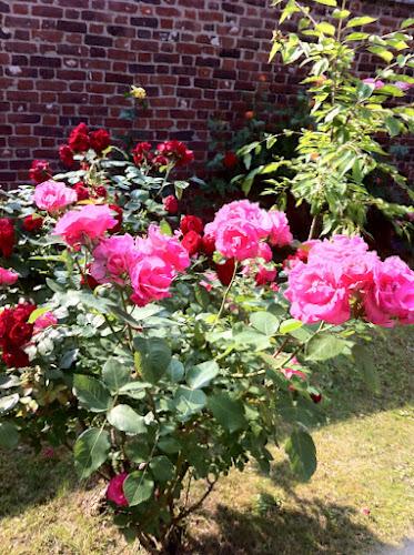 Concours des jardins fleuris