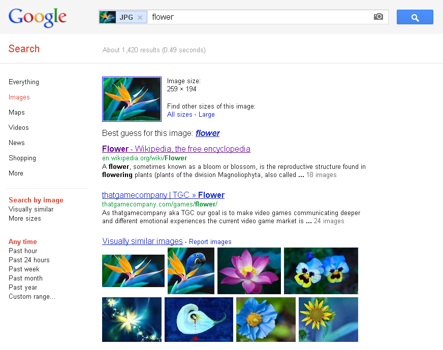 Recherche google fleur