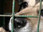 habitant planète parmi d’autres