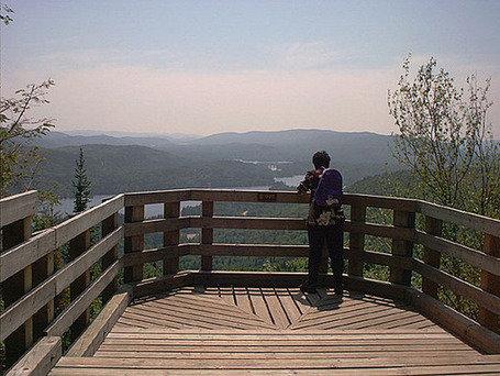 8Xgh6g0dNTvqYSN1svTcUDl72eJkfbmt4t8yenImKBVaiQDB Rd1H6kmuB