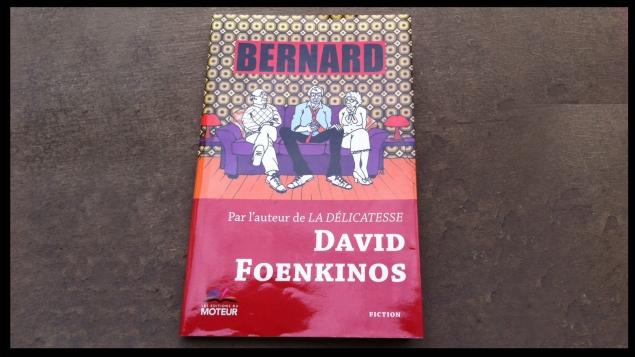 Coup de coeur livre : Bernard de David Foenkinos
